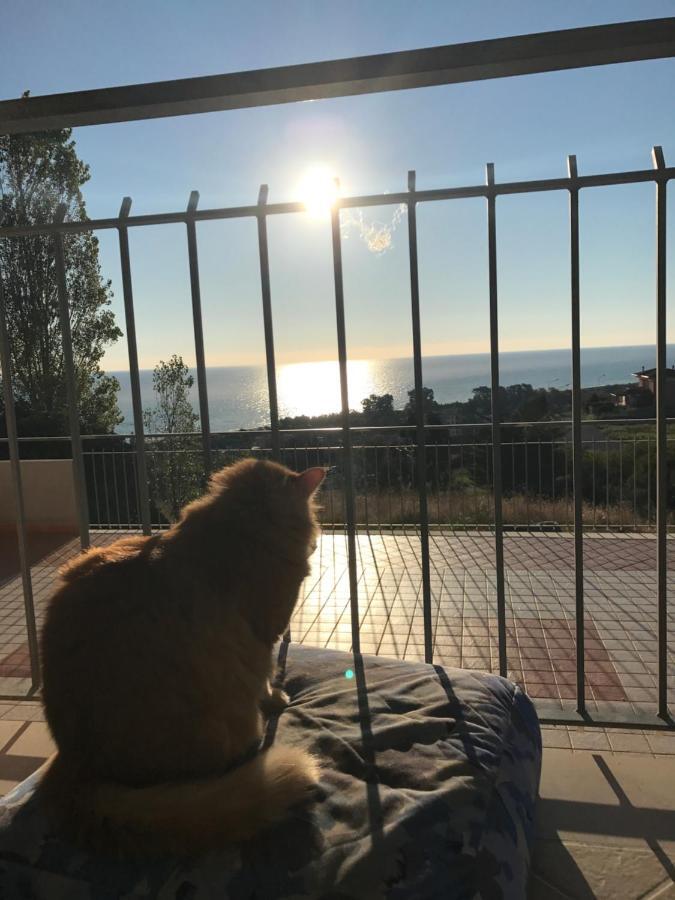 Luna Apartaments Badolato Marina Bagian luar foto